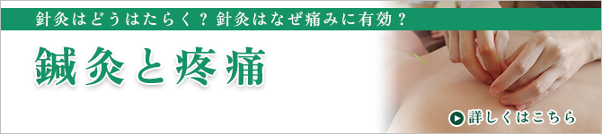 鍼灸と疼痛