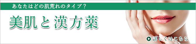 ダイエットと漢方薬